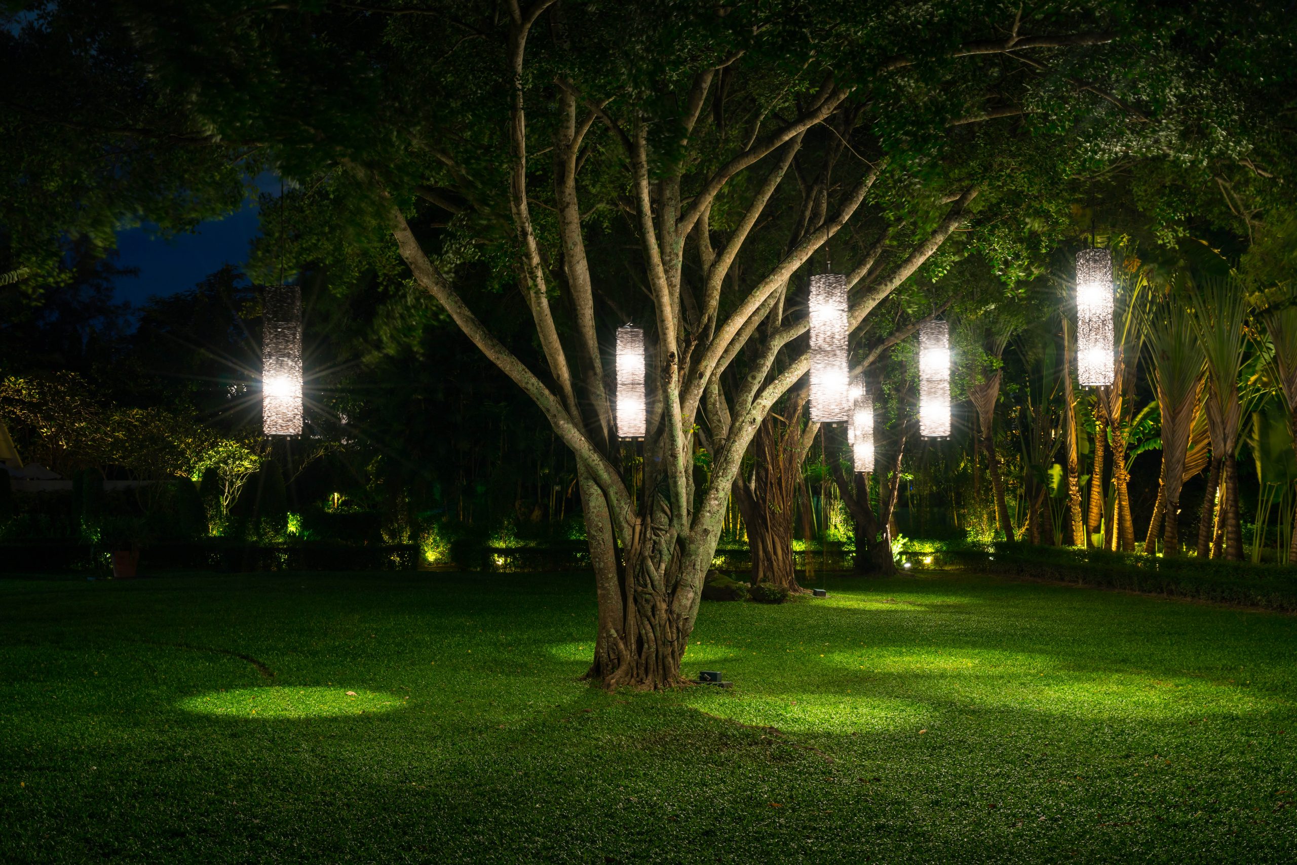 tree with lamp lighting